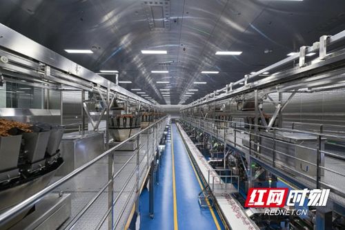 清華大學(xué)學(xué)子走進(jìn)勁仔食品，共探“科研興企”新路徑